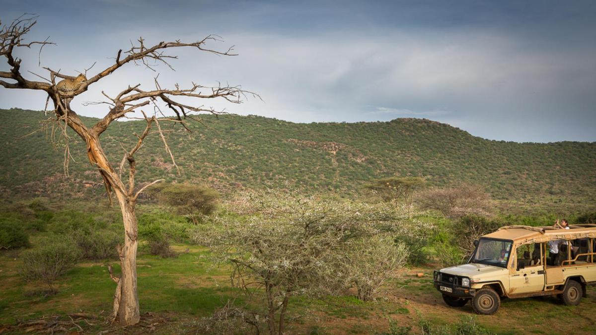 Elephant Bedroom Camp - Samburu Archers Post Екстер'єр фото