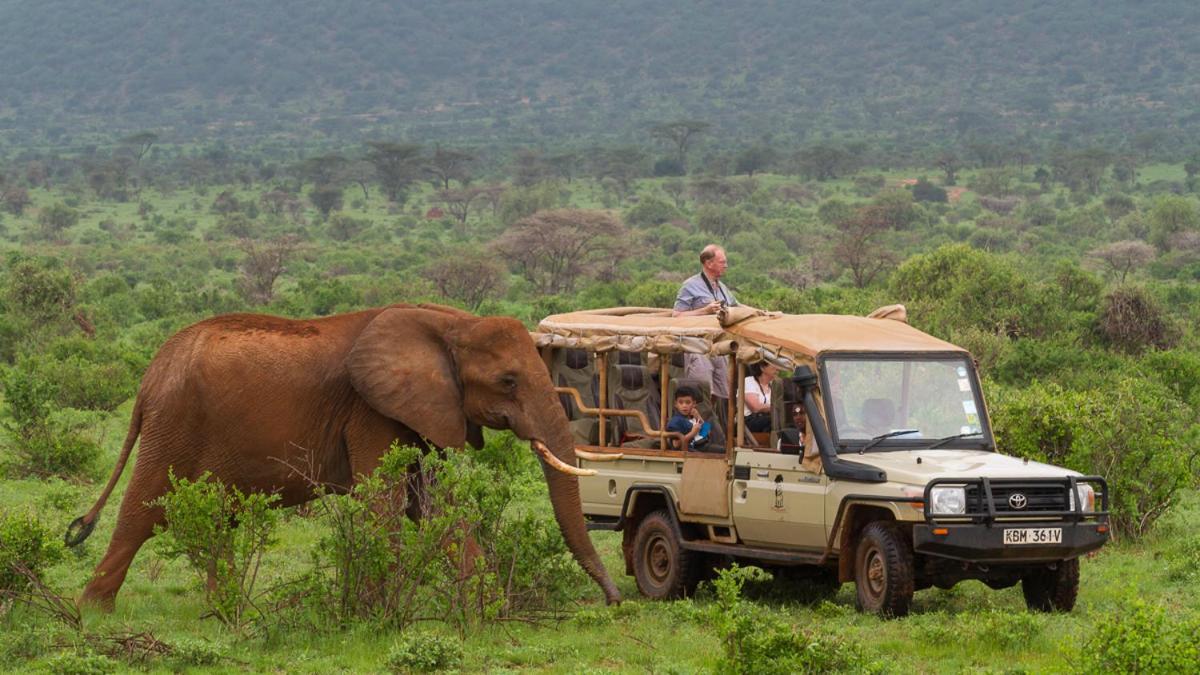 Elephant Bedroom Camp - Samburu Archers Post Екстер'єр фото