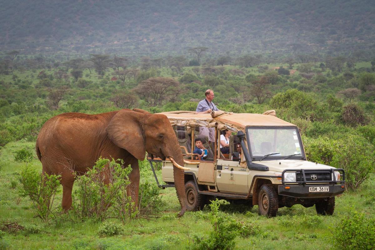 Elephant Bedroom Camp - Samburu Archers Post Екстер'єр фото