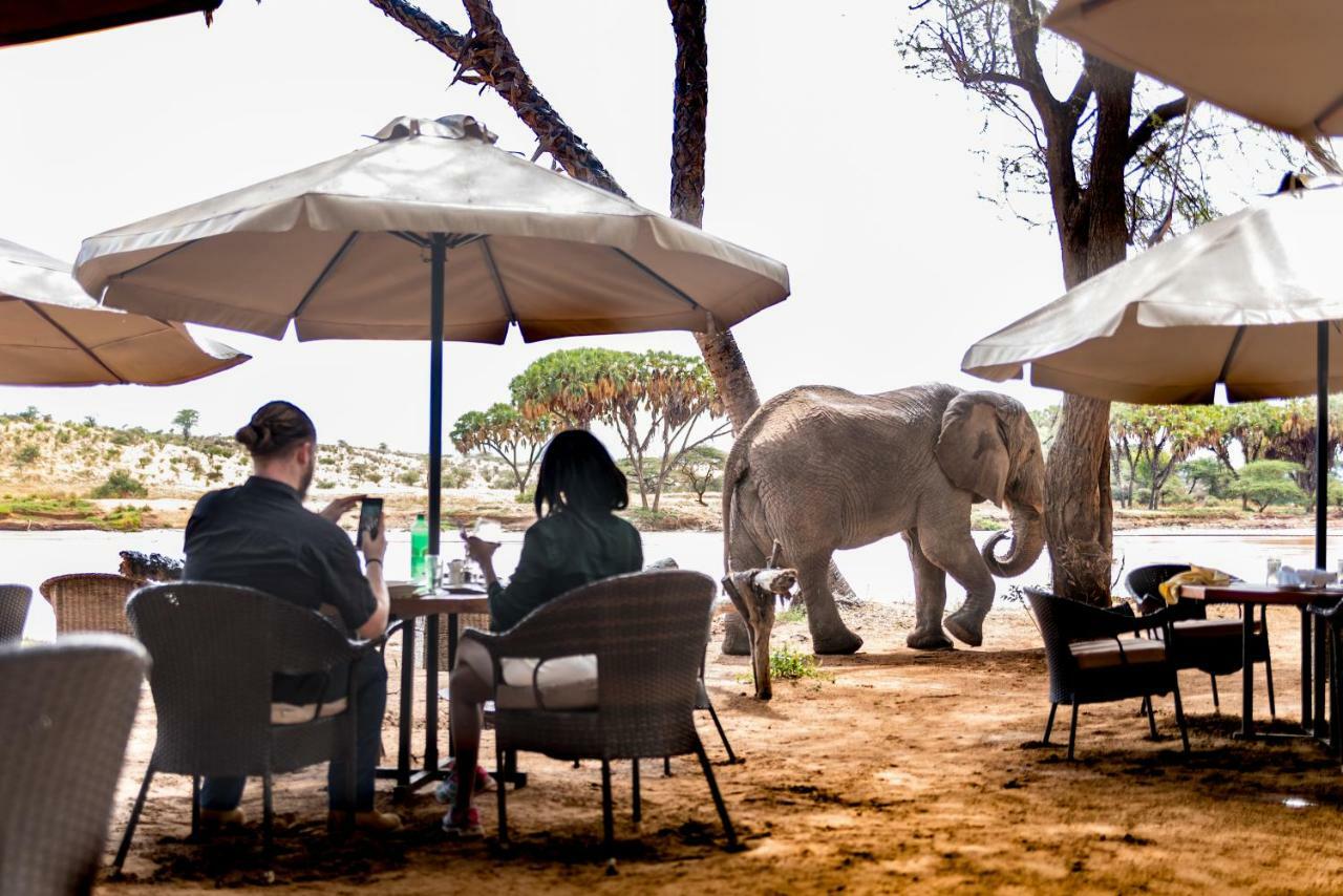 Elephant Bedroom Camp - Samburu Archers Post Екстер'єр фото
