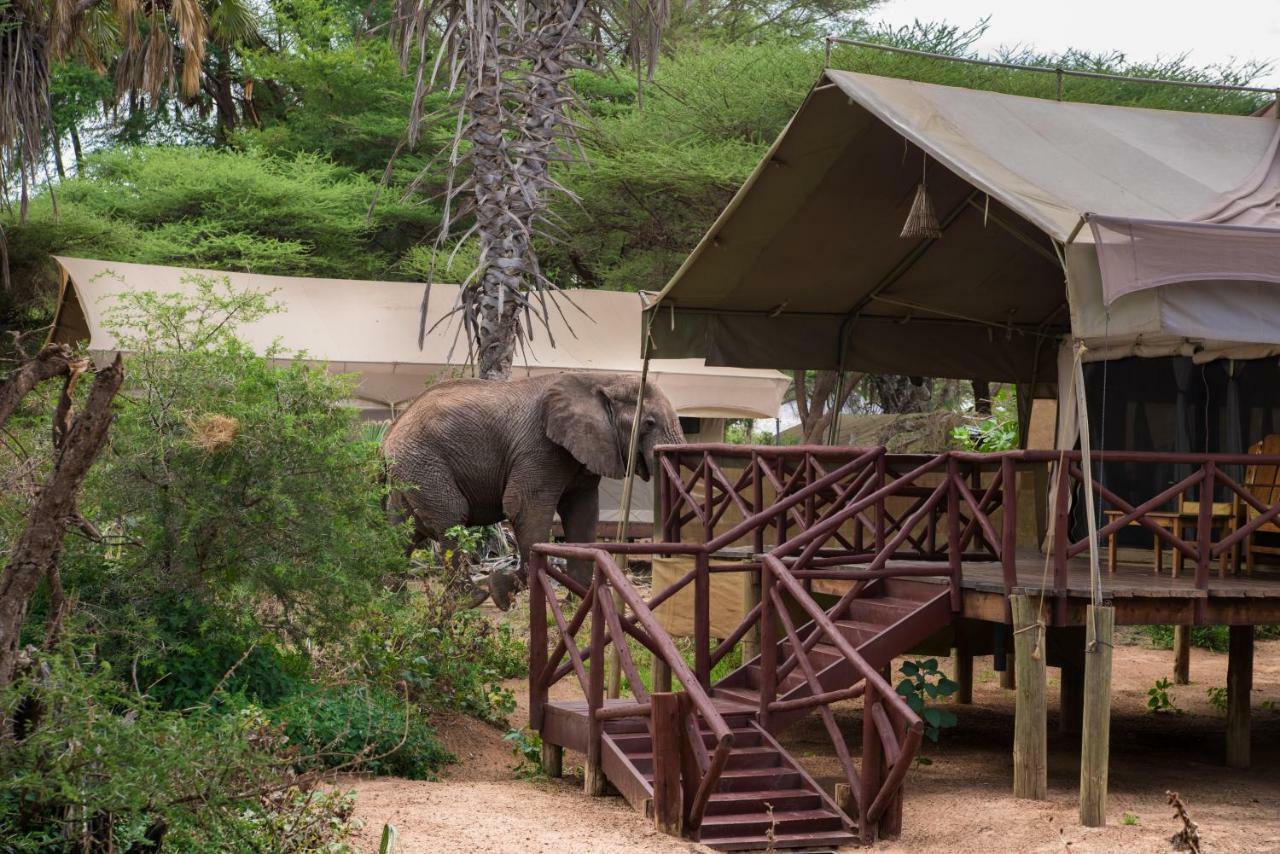 Elephant Bedroom Camp - Samburu Archers Post Екстер'єр фото